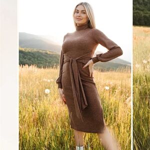 Ivy City Co. Jensen Dress in Mocha size Small